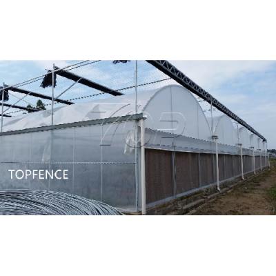 greenhouse for solar Autralia