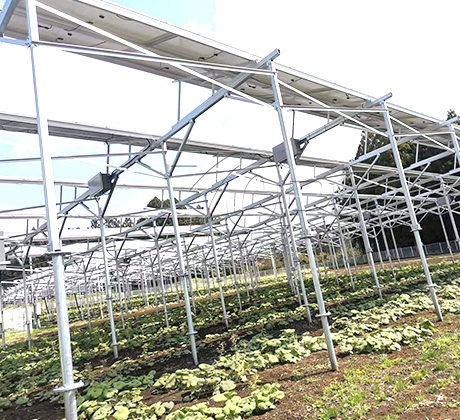 Structure de montage agricole 284KW au Japon